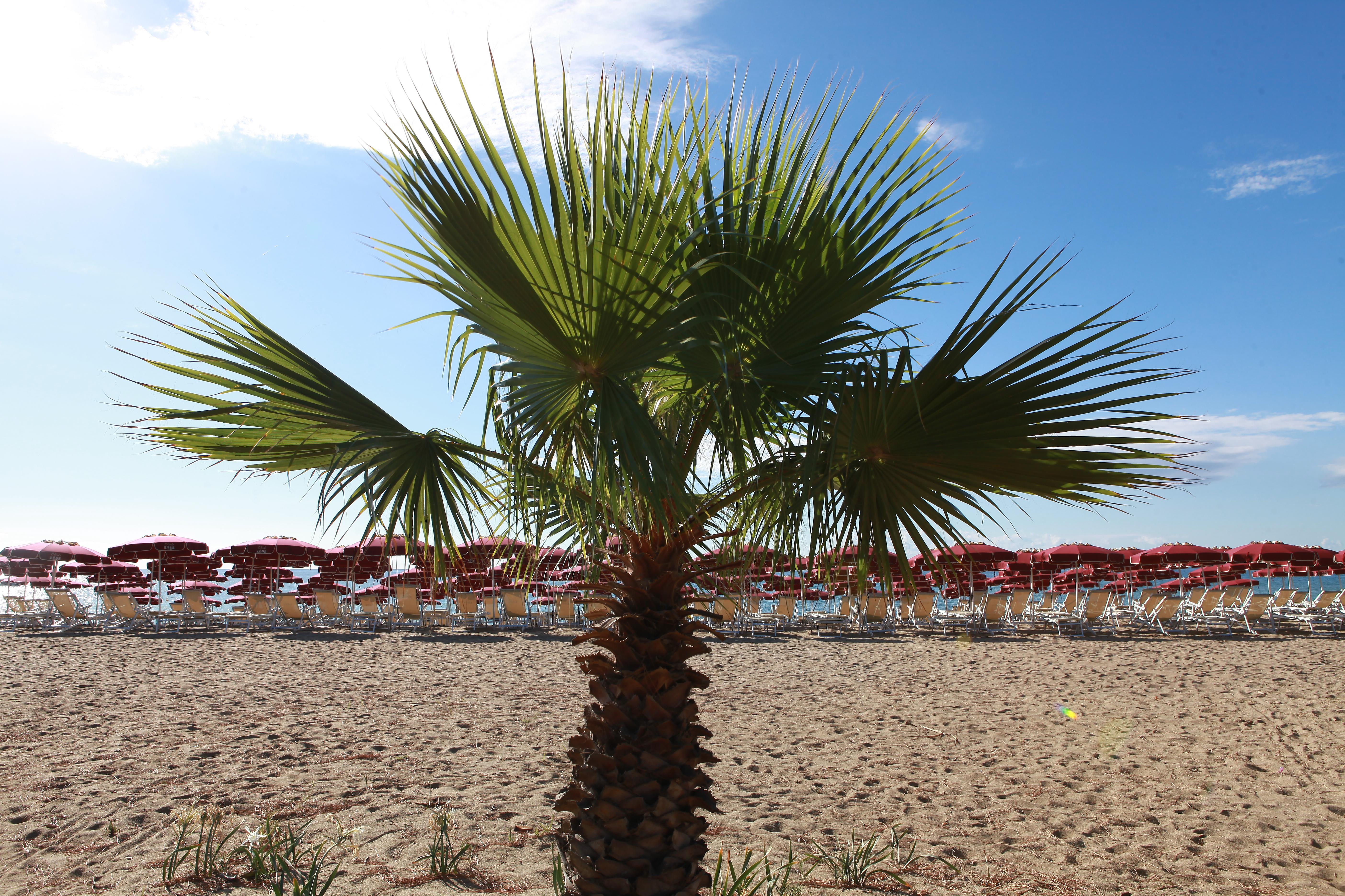 Club Esse Sunbeach Squillace Εξωτερικό φωτογραφία